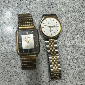 Gold and Silver Men's Watch